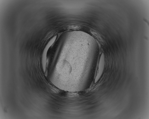 X0000091890333200709191222