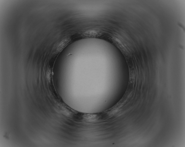 X0000091890334200709191222