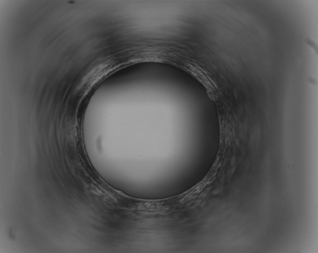 X0000091890338200709191222