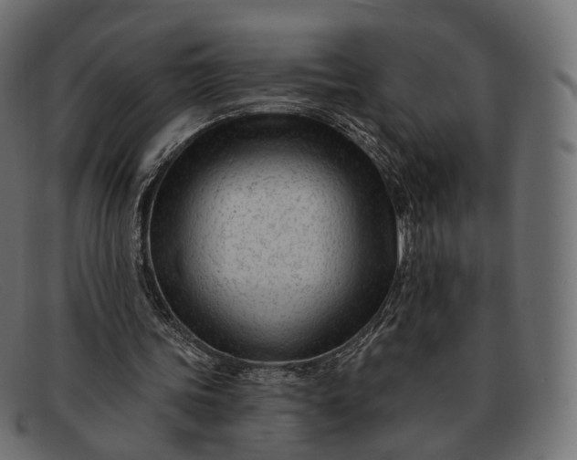 X0000091890339200709191222