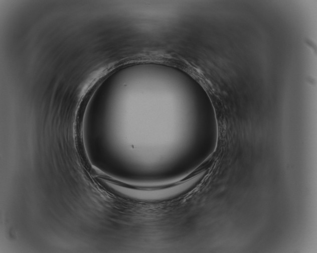 X0000091890340200709191222