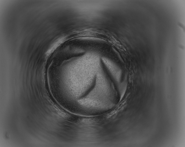 X0000091890341200709191222