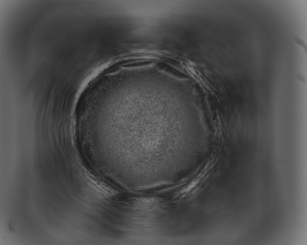 X0000091890342200709191222