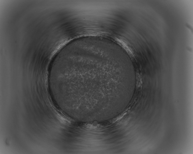 X0000091890346200709191222