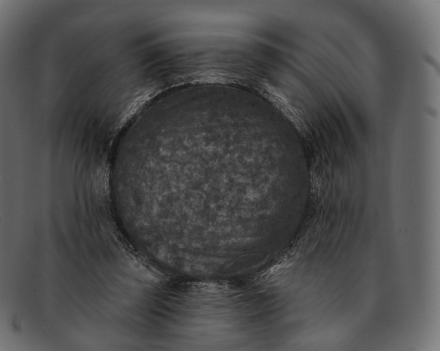 X0000091890347200709191222