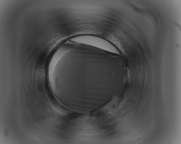 X0000091890348200709191222