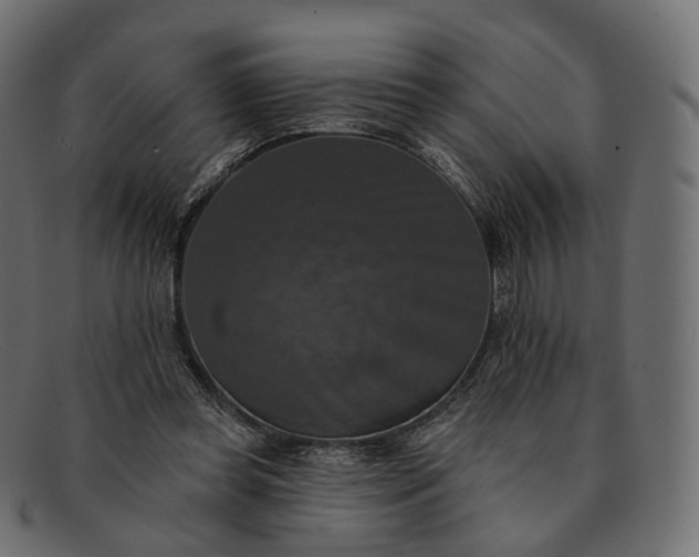 X0000091890349200709191222