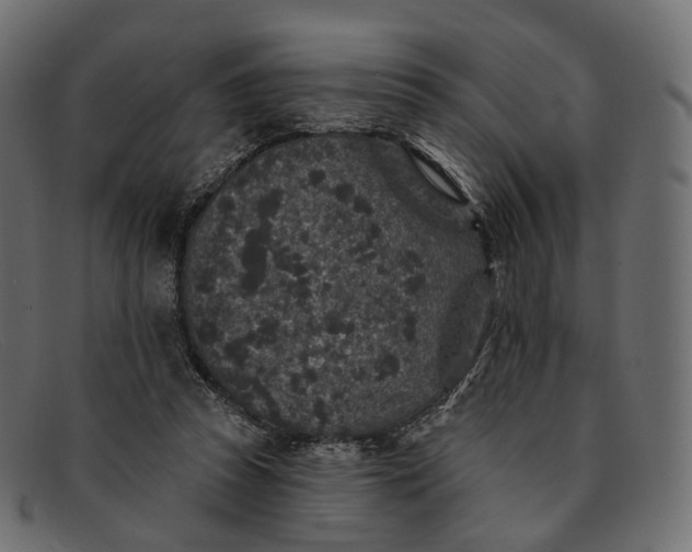 X0000091890353200709191222