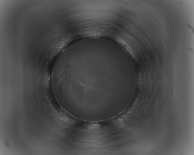 X0000091890355200709191222