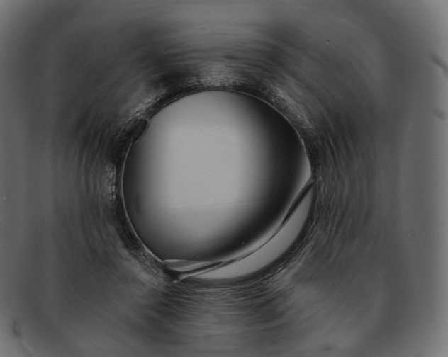 X0000091890356200709191222