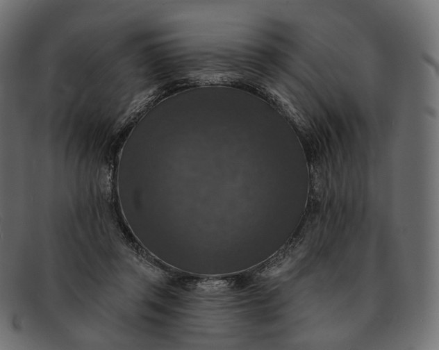 X0000091890357200709191222