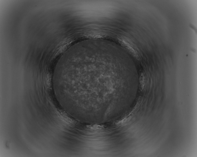 X0000091890359200709191222