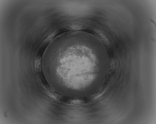 X0000091890360200709191222