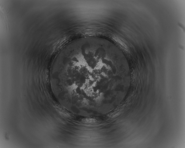 X0000091890361200709191222