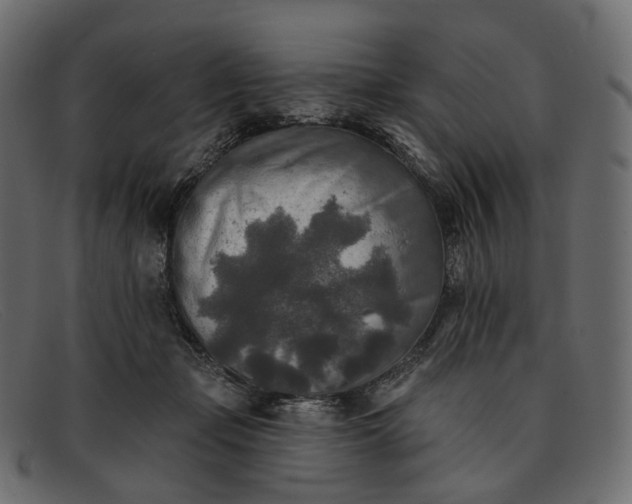 X0000091890365200709191222