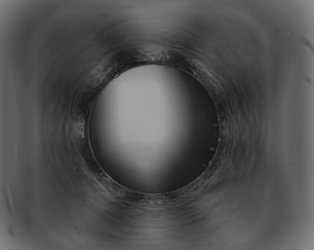 X0000091890368200709191222