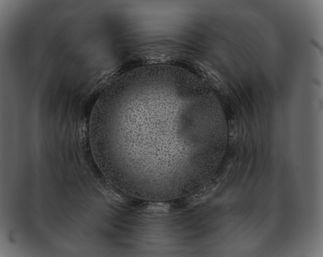 X0000091890369200709191222