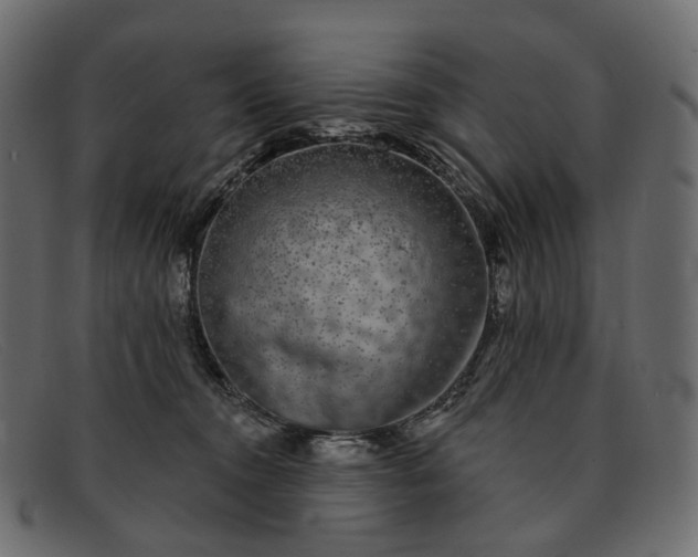 X0000091890372200709191222