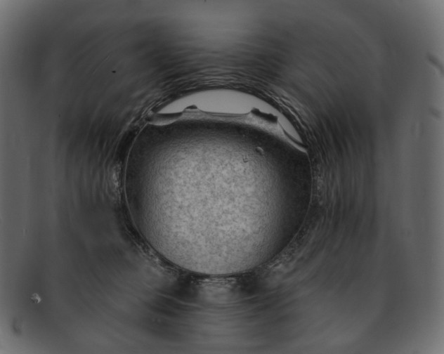 X0000091890373200709191222