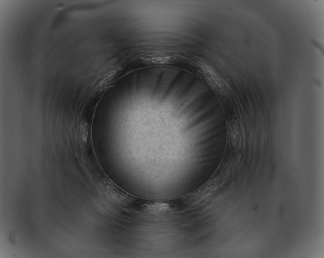 X0000091890374200709191222