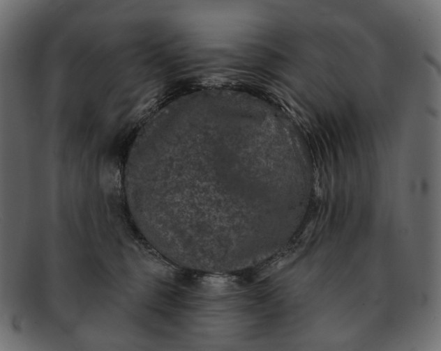 X0000091890375200709191222