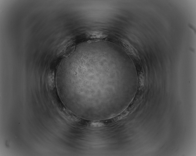 X0000091890376200709191222