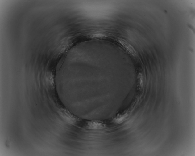 X0000091890380200709191222