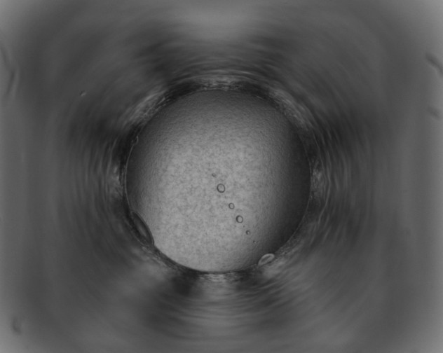 X0000091890381200709191222