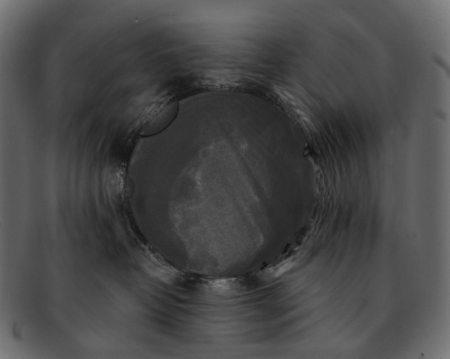 X0000091890382200709191222