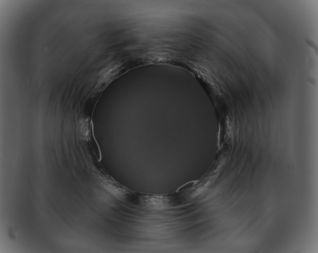 X0000091890383200709191222