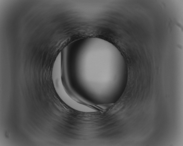 X0000091890384200709191222