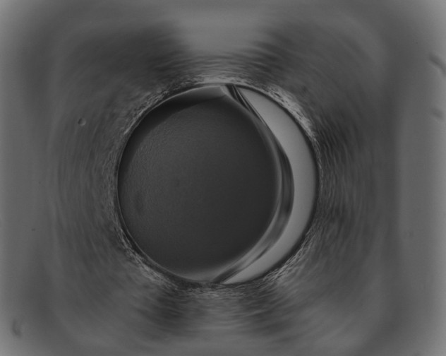 X0000091890385200709191222