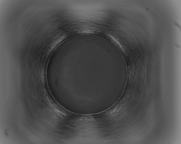 X0000091890386200709191222