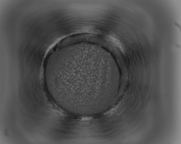 X0000091890388200709191222