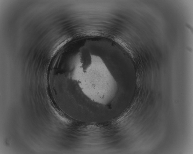 X0000091890390200709191222