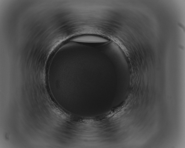 X0000091890391200709191221