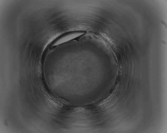 X0000091890392200709191221