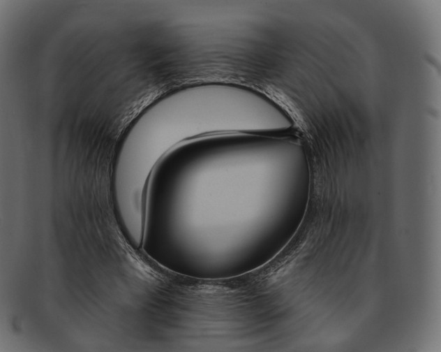 X0000091890393200709191221