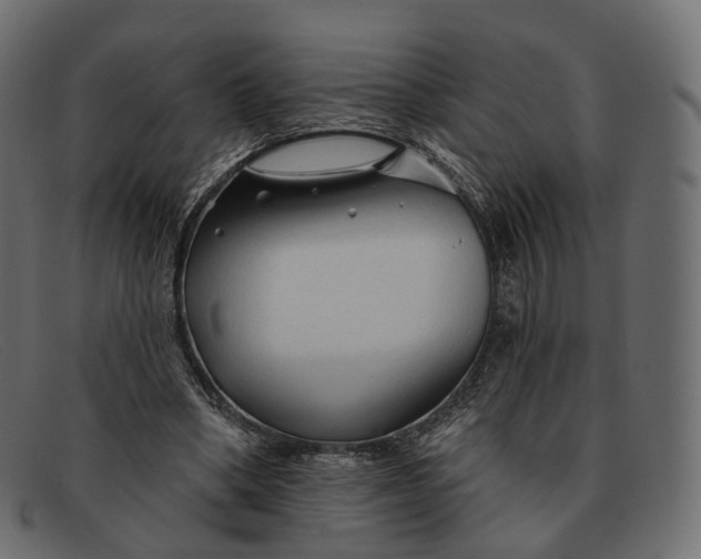 X0000091890394200709191221