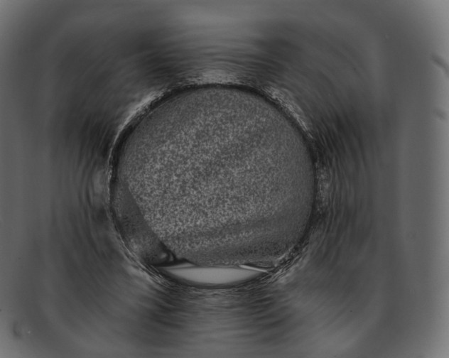 X0000091890395200709191221