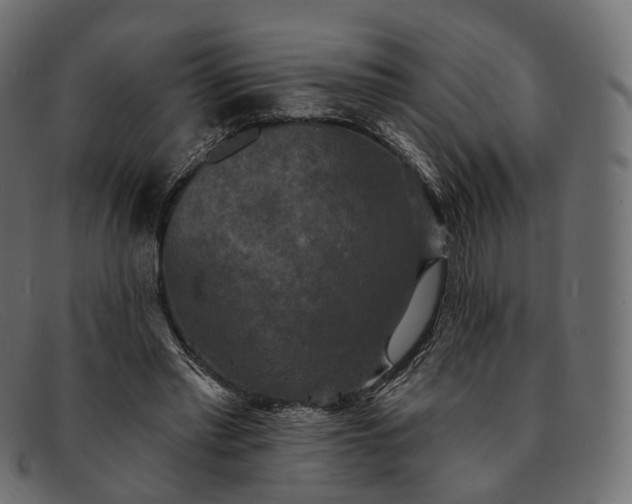 X0000091890397200709191221