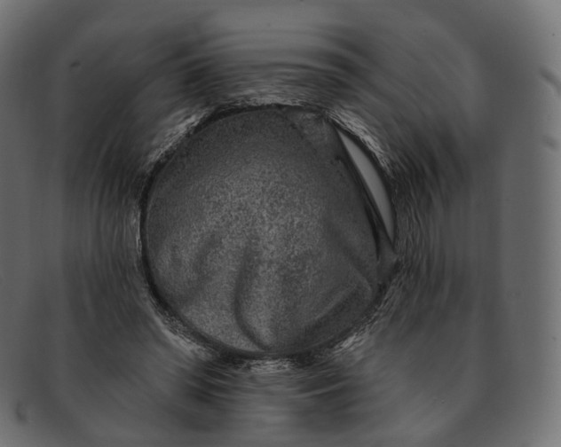 X0000091890398200709191221