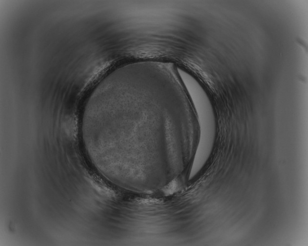 X0000091890400200709191221