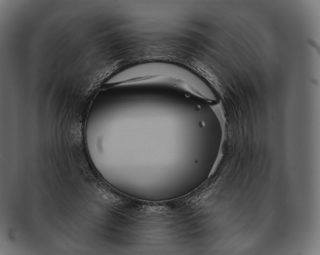 X0000091890401200709191221