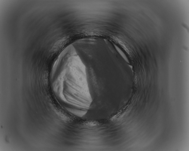X0000091890402200709191221