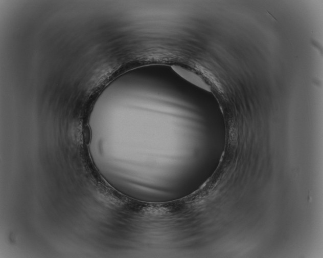 X0000091890403200709191221