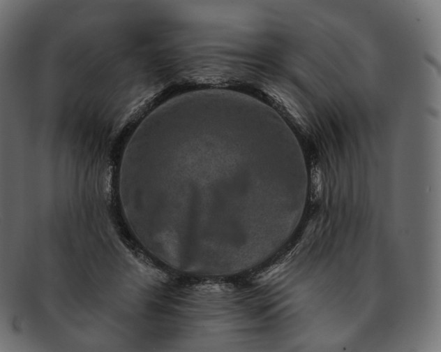 X0000091890404200709191221