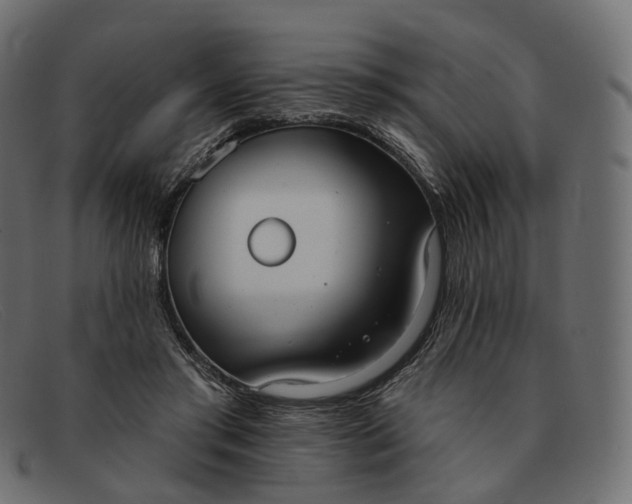 X0000091890405200709191221