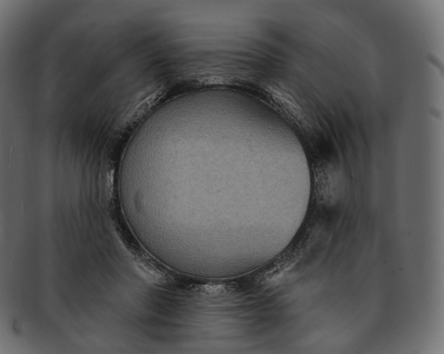 X0000091890406200709191221