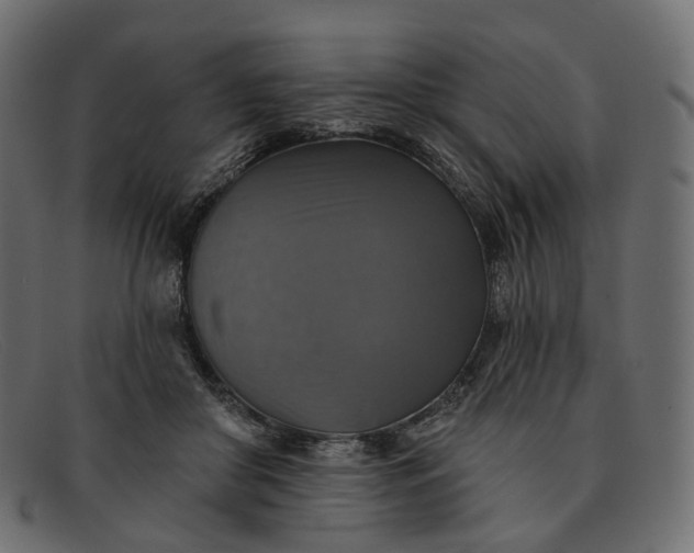 X0000091890410200709191221